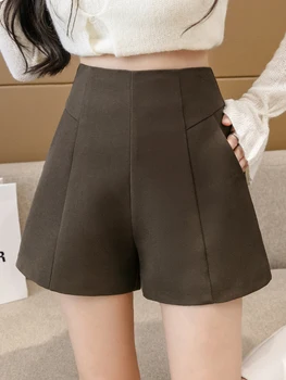2023 חדש מקרית רוכסן מכנסיים אלגנטיים בכיס של נשים מכנסיים קצרים סתיו חורף דק רחב הרגל קו המכנסיים קפה שחור S-XL