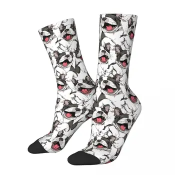 היפ-הופ נשים גברים מחייך מצחיק בוסטון טרייר עיצוב גרביים כלב חמוד כלבלב הסחורה סקייטבורד גרביים מתנת יום-הולדת.