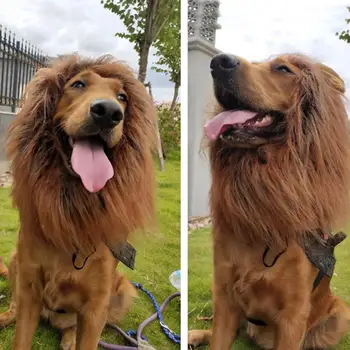 הכלב Cosplay פרופ אריה המחמד הפלטה מציאותי האריה בעל הרעמה מחמד תלבושות סט שיער פלומתי כיסוי מזויף הזנב עבור Cosplay מסיבות מצחיק