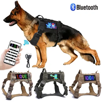 מציג הכשרה אנטי-אבוד האפוד עבור כלבים לילה זוהר טקטי רתמה כלב צבאי, ציוד לחיות מחמד USB טעינה/סוללה